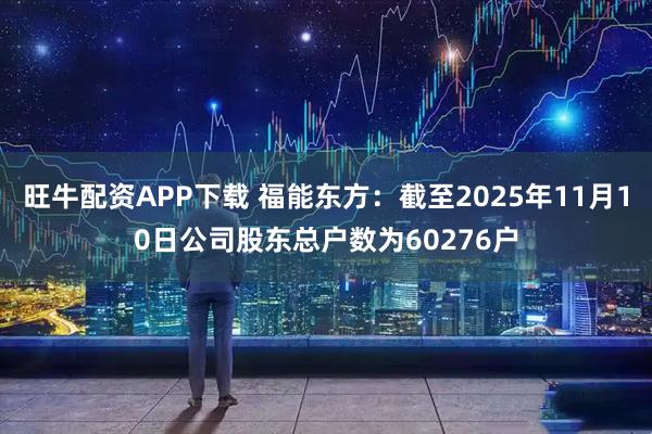 旺牛配资APP下载 福能东方:截至2025年11月10日公司股东总户数为60276户