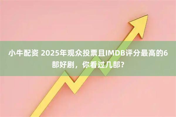 小牛配资 2025年观众投票且IMDB评分最高的6部好剧，你看过几部？