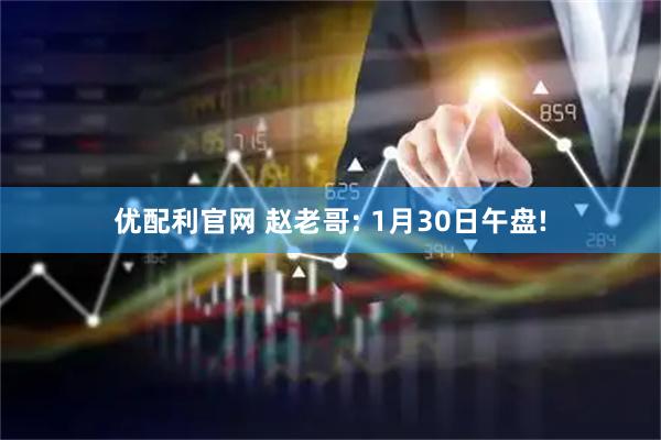 优配利官网 赵老哥: 1月30日午盘!