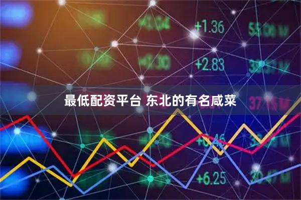 最低配资平台 东北的有名咸菜