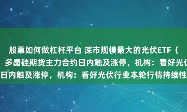 股票如何做杠杆平台 深市规模最大的光伏ETF（159857）涨超2.7%，多晶硅期货主力合约日内触及涨停，机构：看好光伏行业本轮行情持续性
