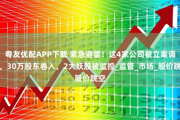 粤友优配APP下载 紧急避雷！这4家公司被立案调查，30万股东卷入，2大妖股被监控_监管_市场_股价跳空
